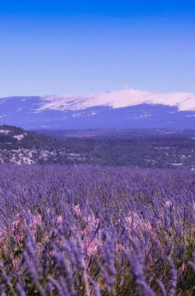 La Fee Viviane Et Michel L'enchanteur